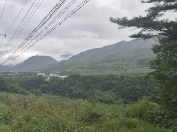 포항시 북구 죽장면 전 경매 물건 사진