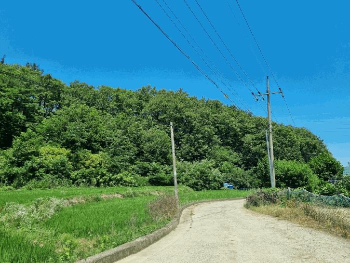 포항시 남구 대송면 임야 경매 물건 사진