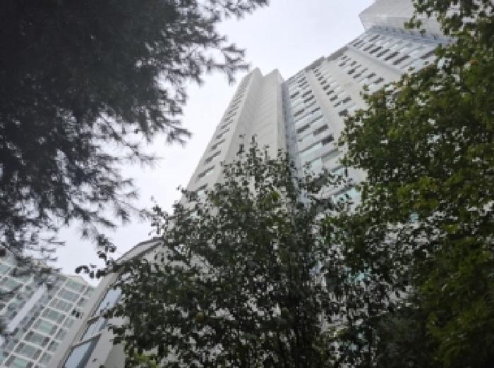 포항시 북구 장성동 아파트 경매 물건 사진