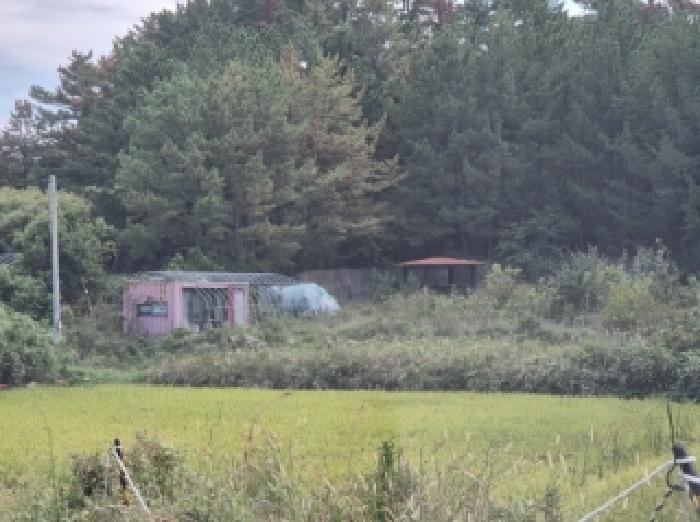 포항시 북구 장성동 근린시설 경매 물건 사진