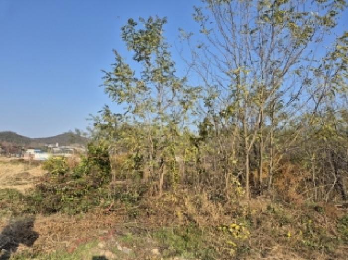 포항시 북구 흥해읍 단독주택 경매 물건 사진