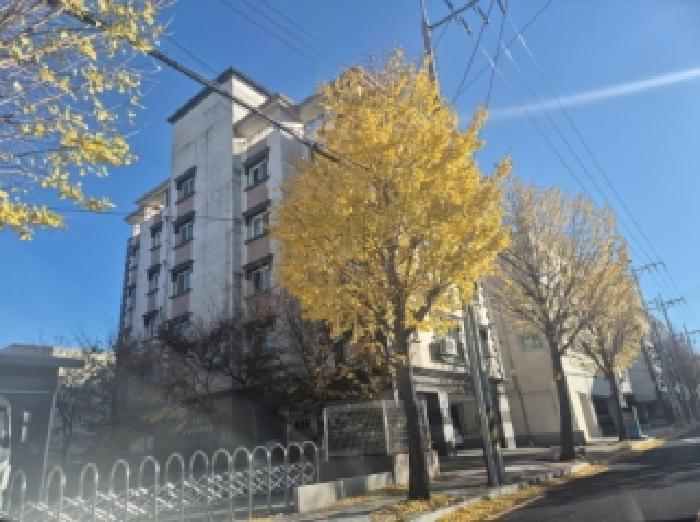 포항시 북구 장성동 다세대 경매 물건 사진