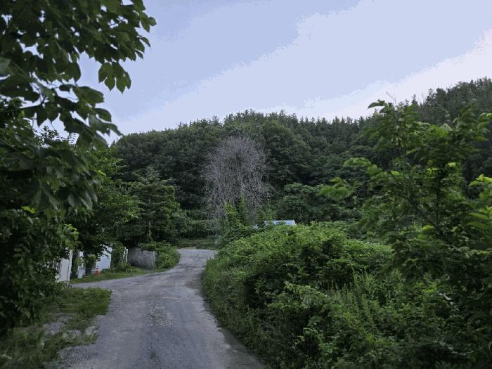 포항시 북구 우현동 전 경매 물건 사진