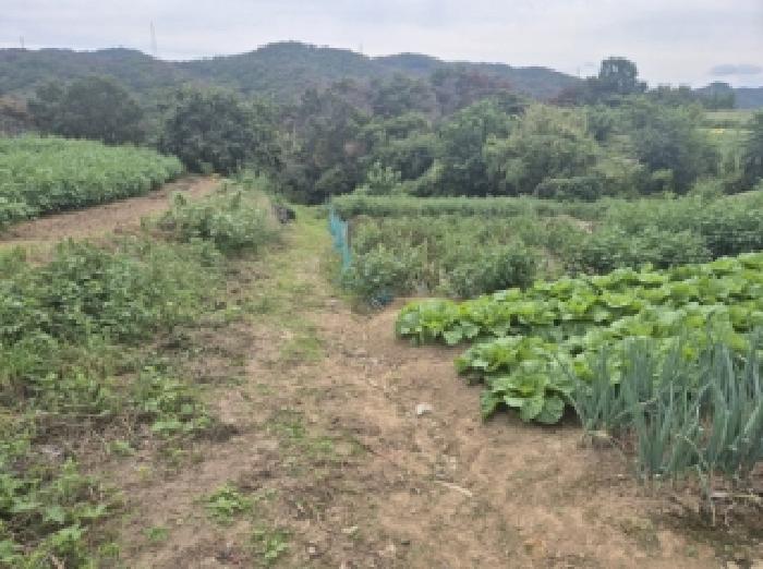 포항시 남구 장기면 전답 경매 물건 사진