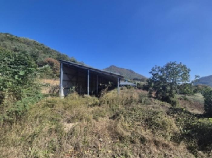 포항시 북구 죽장면 동물및식물관련시설 경매 물건 사진