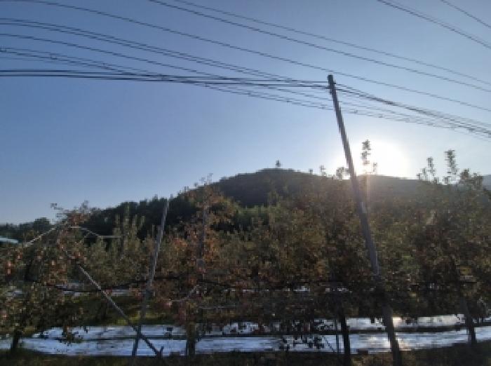포항시 북구 기계면 전답 경매 물건 사진
