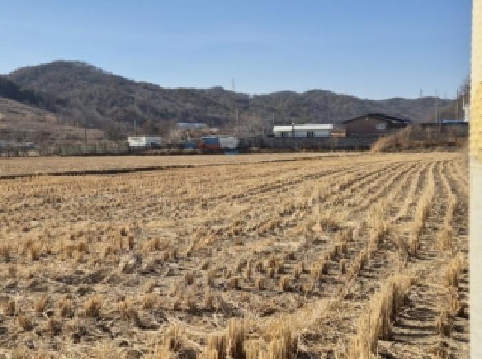 포항시 북구 청하면 대지,임야,전답 경매 물건 사진