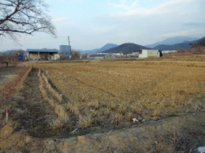 달성군 유가읍 도의리 답 경매 물건 사진