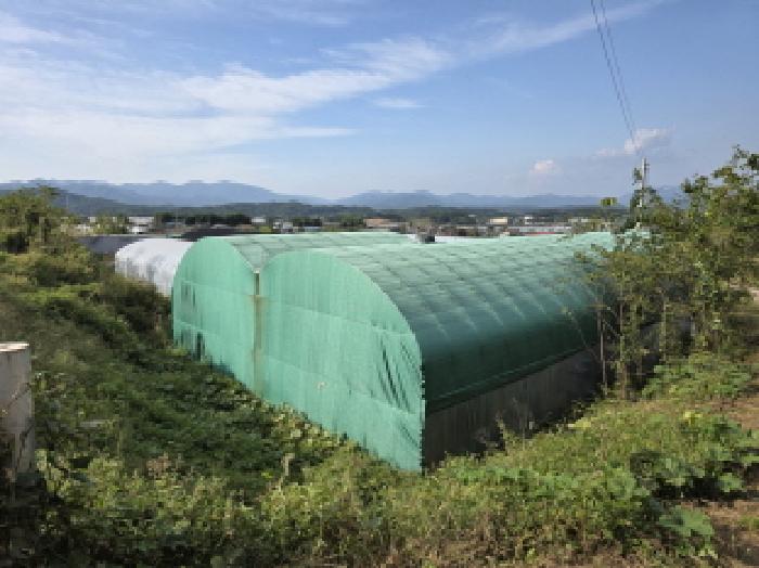 성주군 성주읍 대황리 전답 경매 물건 사진