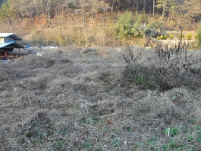 고령군 개진면 양전리 답 경매 물건 사진