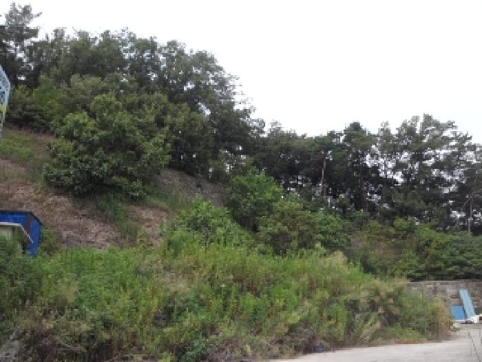 고령군 개진면 부리 공장/지식산업센터 경매 물건 사진