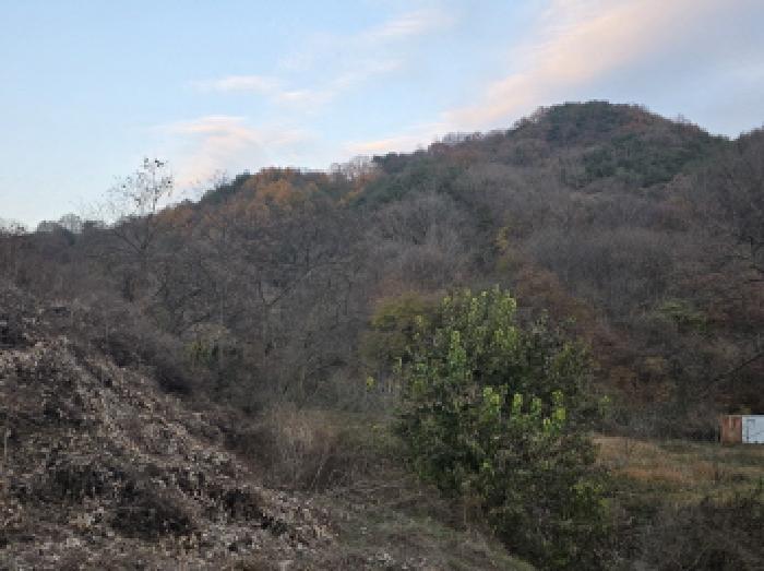 성주군 수륜면 수륜리 전 경매 물건 사진