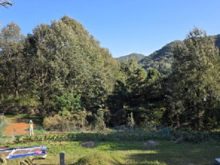 성주군 선남면 명포리 전답 경매 물건 사진
