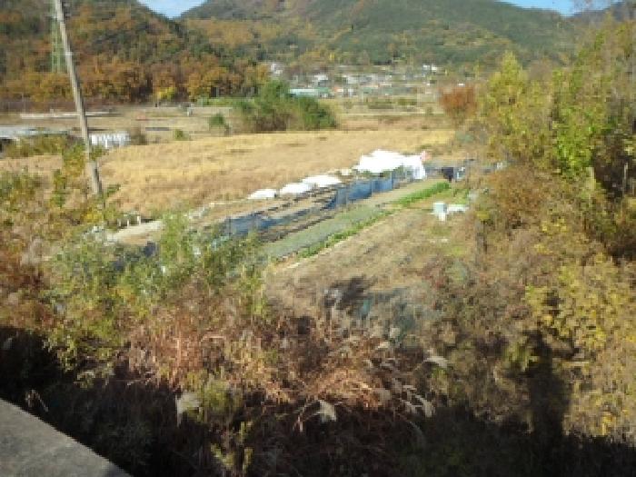 달성군 유가읍 음리 답 경매 물건 사진