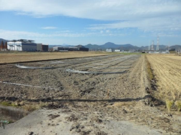 달성군 논공읍 상리 답 경매 물건 사진