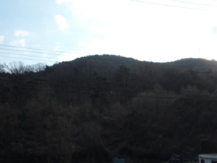 달성군 옥포읍 반송리 임야 경매 물건 사진