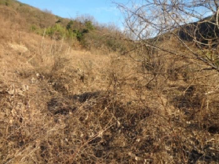 달성군 유가읍 가태리 전답 경매 물건 사진