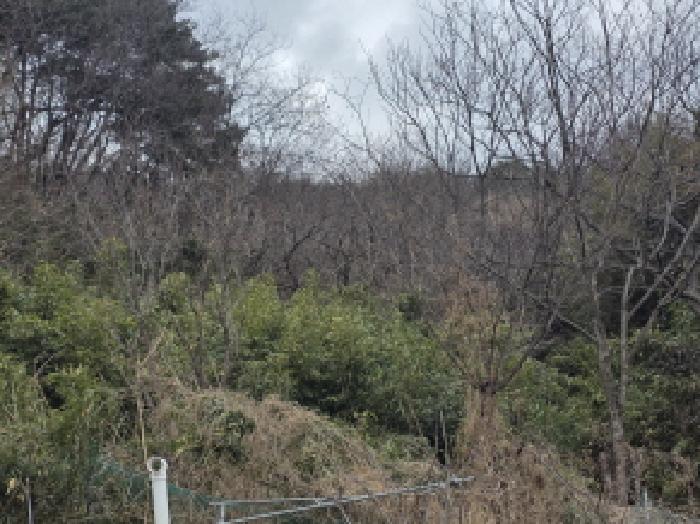 성주군 수륜면 성리 전 경매 물건 사진