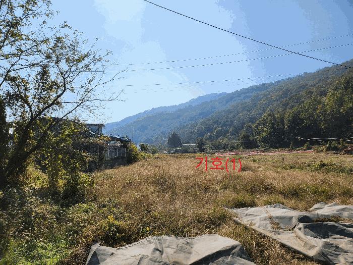고령군 우곡면 야정리 전 경매 물건 사진