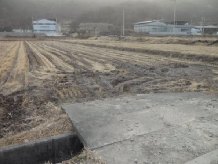 고령군 성산면 대흥리 답 경매 물건 사진