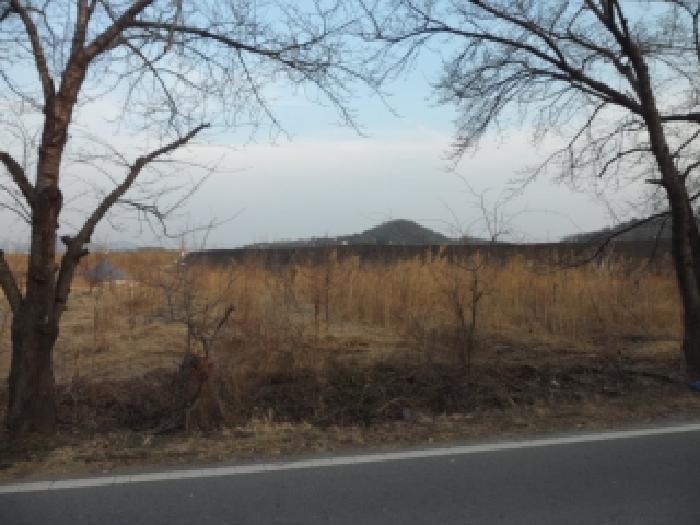 달성군 구지면 대암리 전답 경매 물건 사진