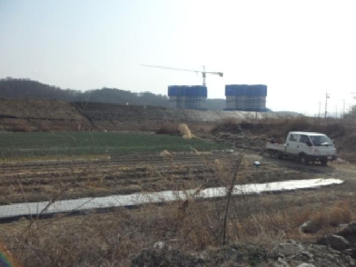 달성군 구지면 대암리 답 경매 물건 사진