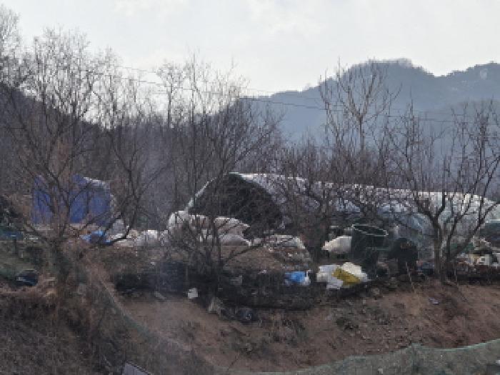 성주군 선남면 명포리 전 경매 물건 사진