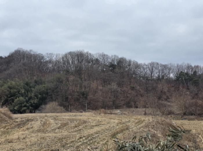 성주군 대가면 금산리 임야 경매 물건 사진