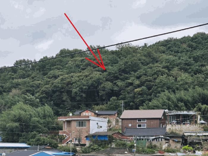 고령군 개진면 반운리 임야 경매 물건 사진