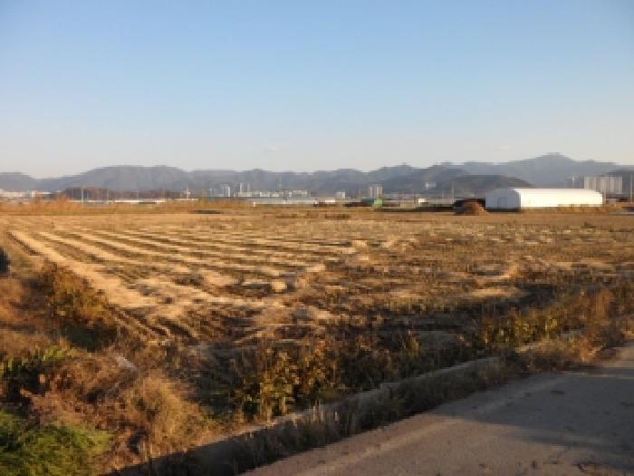 고령군 다산면 평리리 답 경매 물건 사진