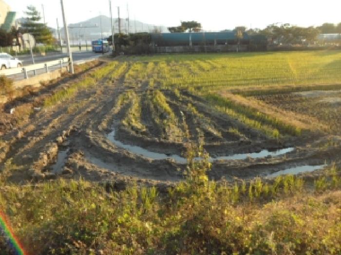 고령군 다산면 좌학리 전답 경매 물건 사진