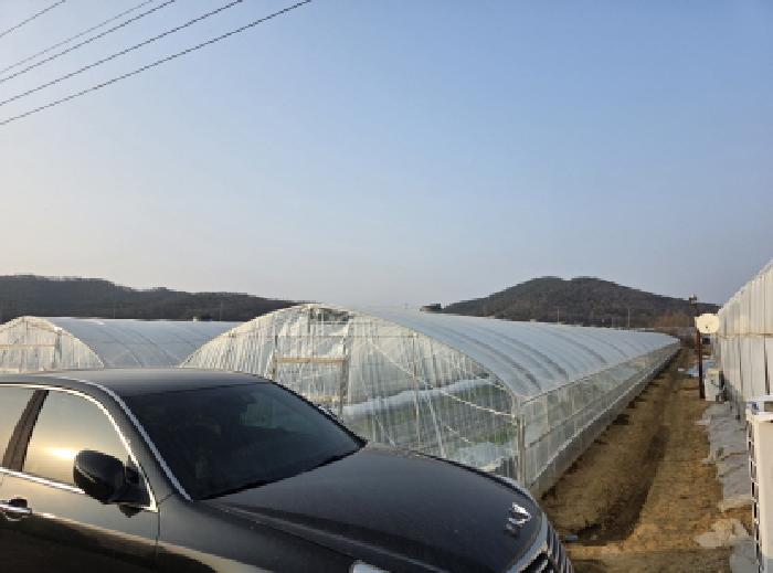 달성군 하빈면 감문리 전답 경매 물건 사진