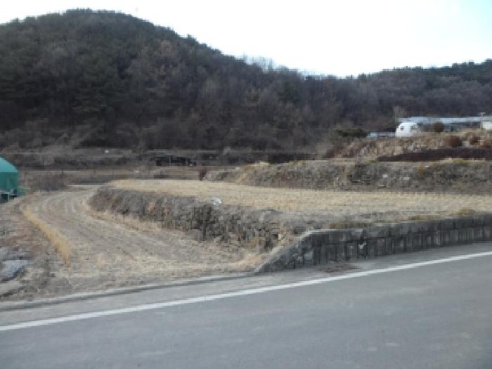달성군 유가읍 양리 답 경매 물건 사진