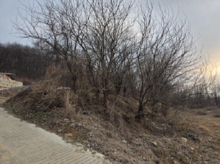 성주군 선남면 유서리 창고시설 경매 물건 사진