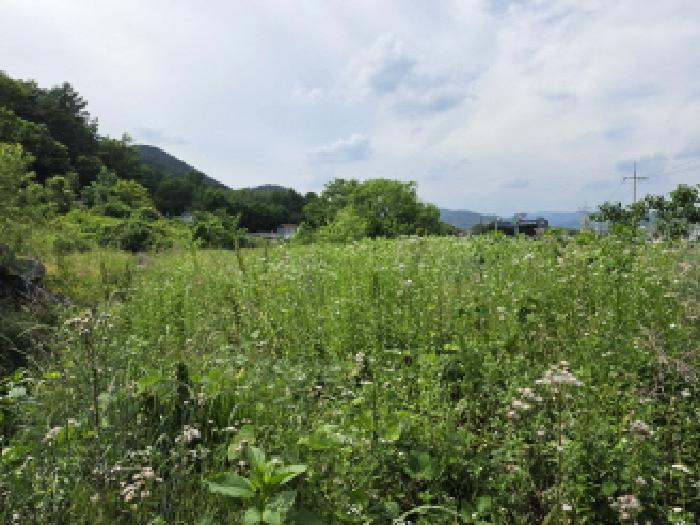 성주군 수륜면 수성리 대지,임야,전답 경매 물건 사진