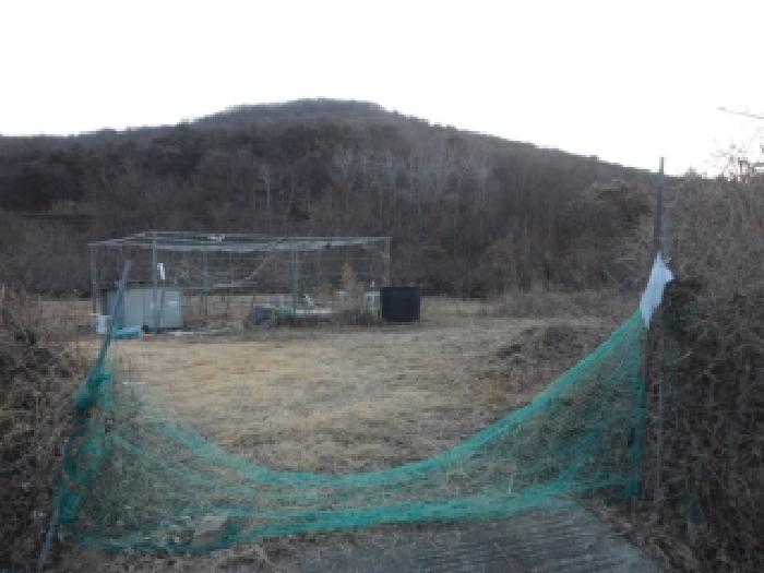 달성군 화원읍 명곡리 답 경매 물건 사진