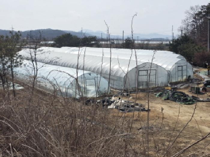 달성군 하빈면 묘리 전답 경매 물건 사진