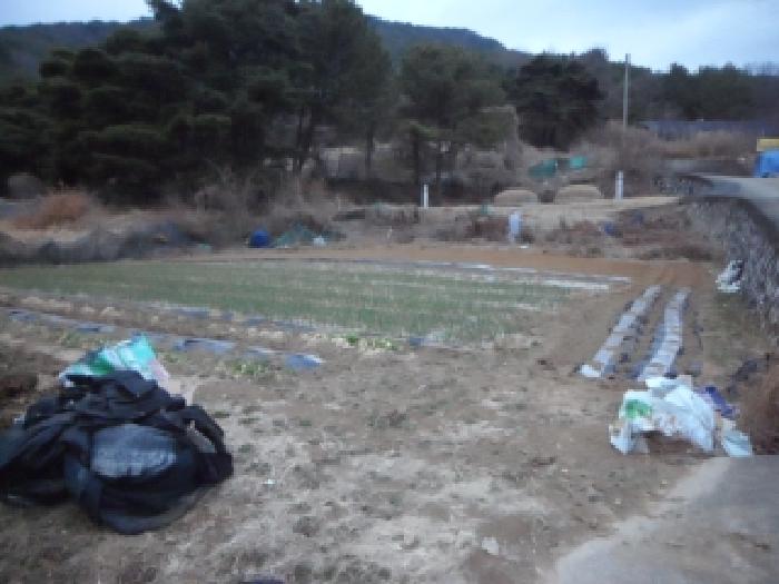 달성군 논공읍 노이리 전 경매 물건 사진
