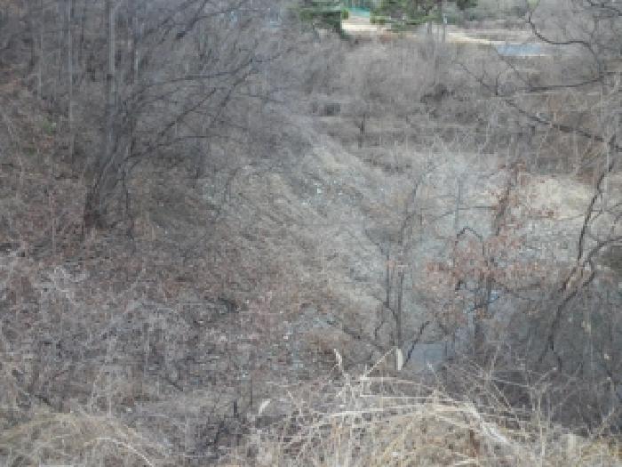 고령군 성산면 상용리 답 경매 물건 사진