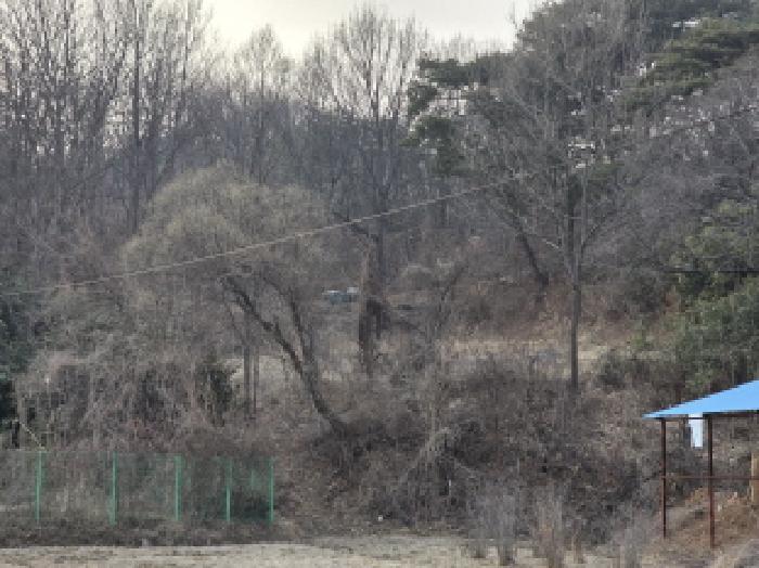 성주군 벽진면 자산리 전답 경매 물건 사진