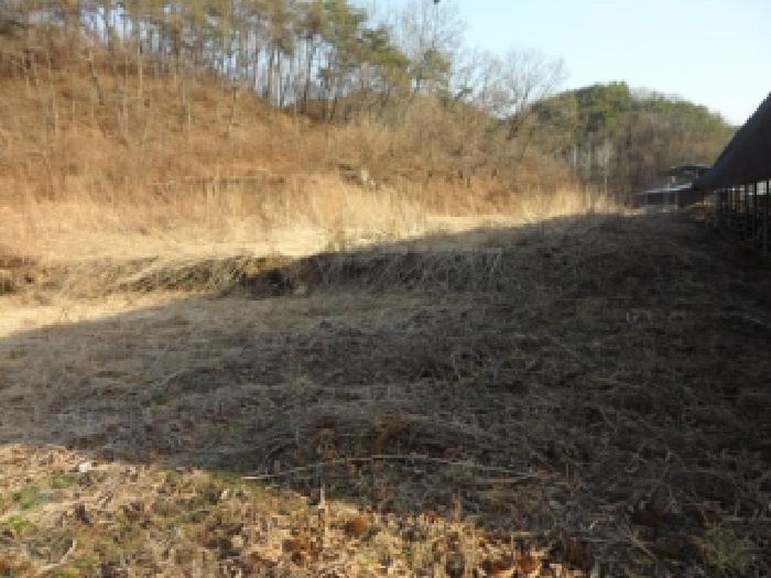 고령군 쌍림면 평지리 대지,임야,전답 경매 물건 사진