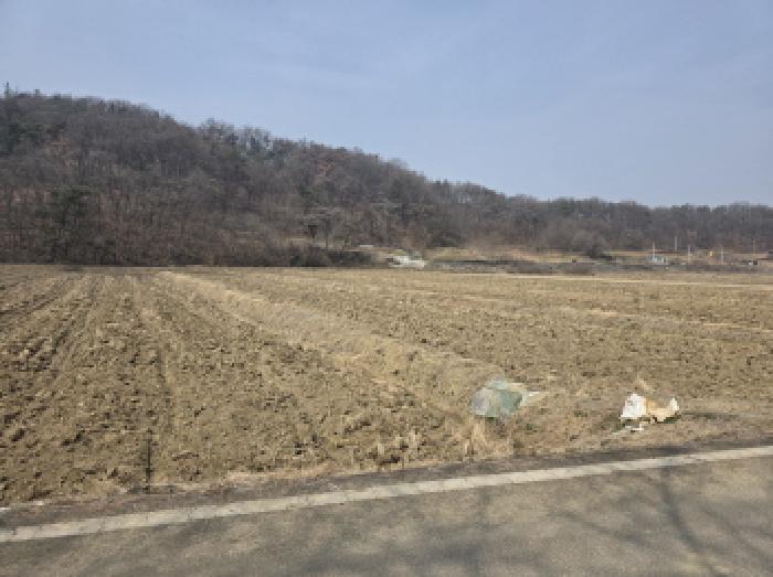 달성군 다사읍 문양리 답 경매 물건 사진