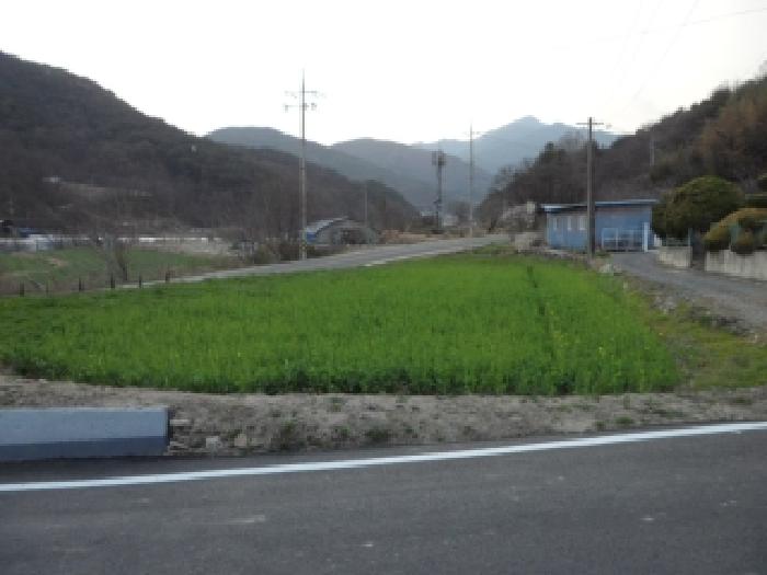 고령군 덕곡면 백리 답 경매 물건 사진