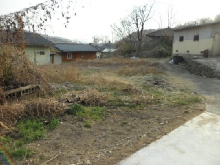 달성군 구지면 대암리 대지 경매 물건 사진
