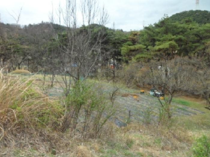 고령군 개진면 인안리 전답 경매 물건 사진