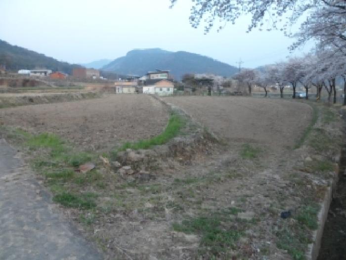 달성군 유가읍 본말리 전답 경매 물건 사진