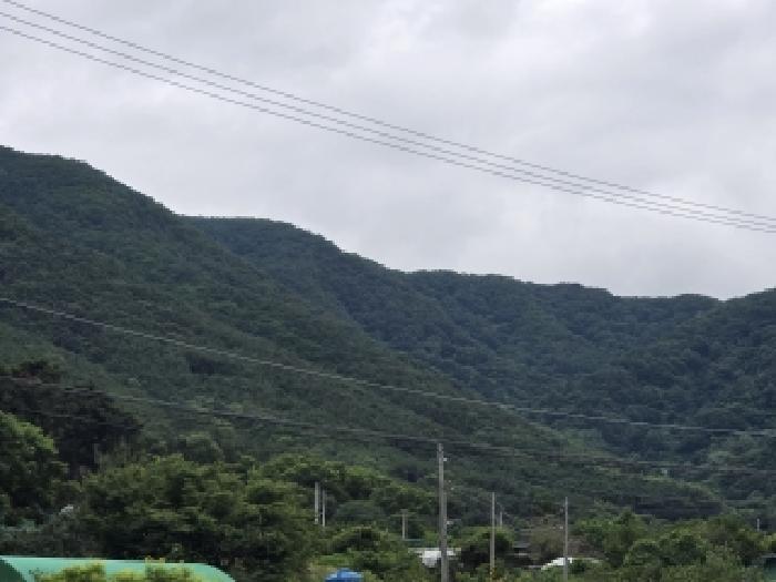 달서구 도원동 산42 임야 경매 물건 사진