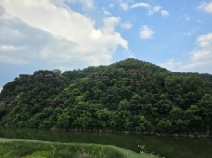 성주군 용암면 동락리 임야 경매 물건 사진