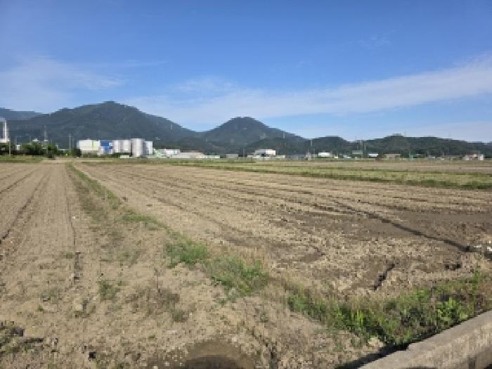 달성군 현풍읍 대리 대지,임야,전답 경매 물건 사진