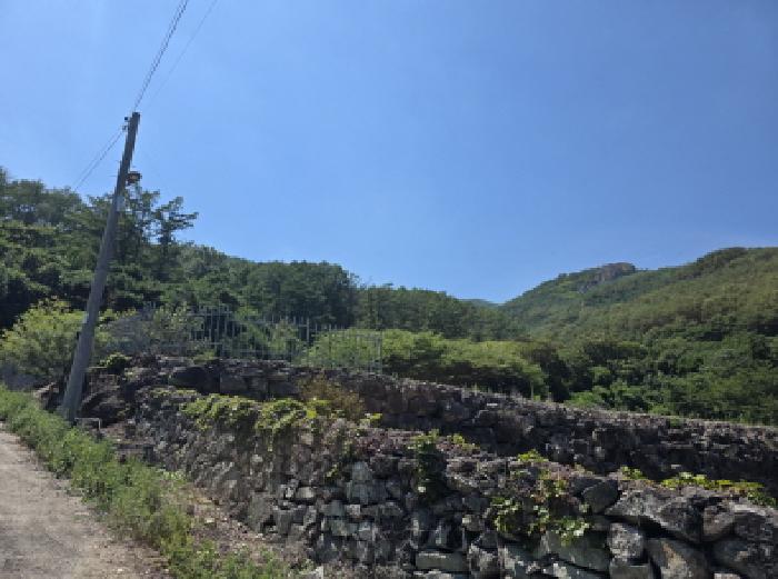달성군 가창면 대일리 임야 경매 물건 사진
